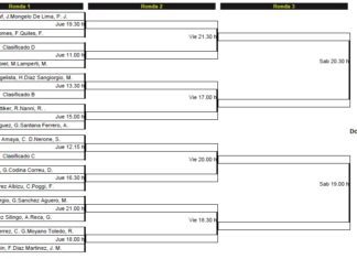 Cuadro Padel Pro Tour Mendoza, Argentina