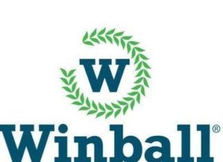 Pelotas de Padel Winball… Personalizadas winball.es