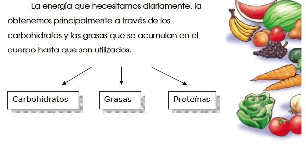 ALIMENTACIÓN Saludable 🍌 DIETA para PÁDEL🎾 MACRO Nutrientes de los que obtenemos la energia