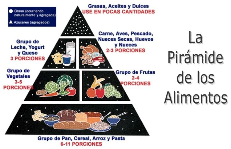 ALIMENTACIÓN Saludable 🍌 DIETA para PÁDEL🎾 PIRAMIDE de los Alimentos
