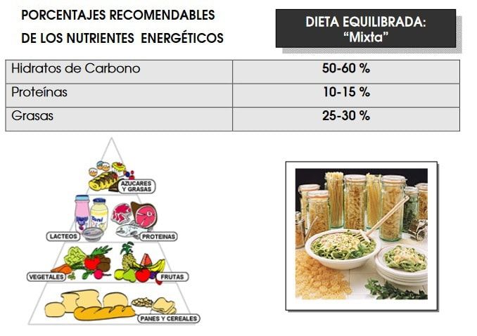 ALIMENTACIÓN Saludable 🍌 DIETA para PÁDEL🎾 Que Cantidad de Nutrientes comer