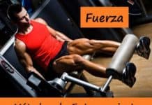 Métodos de entrenamiento de fuerza: tipos y ejemplos