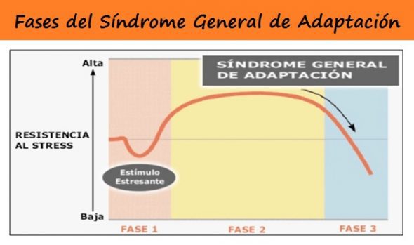sindrome general de adaptacion