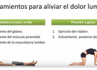 ▷ Estiramientos de Espalda 【Aliviar Dolores Lumbares】