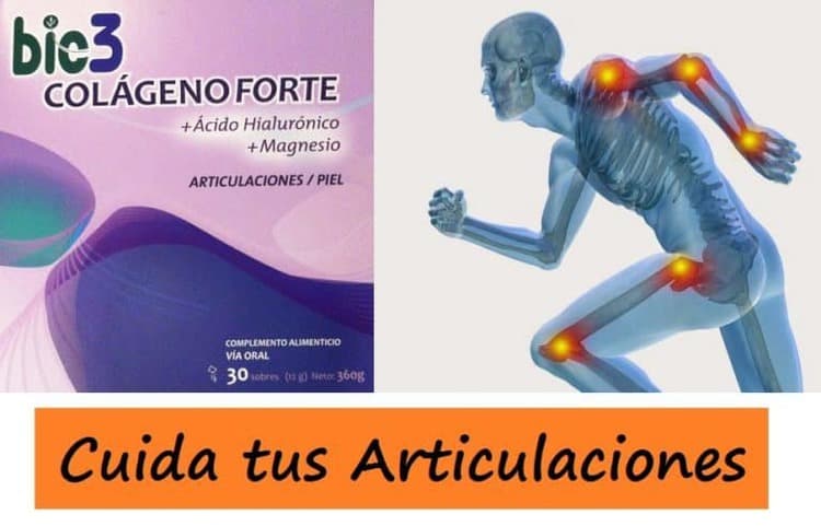 COLAGENO, una Ayuda para tus Articulaciones | PadelStar