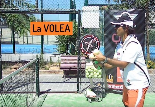 La VOLEA de DERECHA para jugadores de iniciación