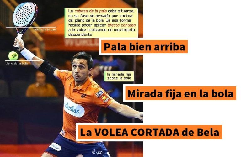 Volea CORTADA de derecha 【Fernando Belasteguín】