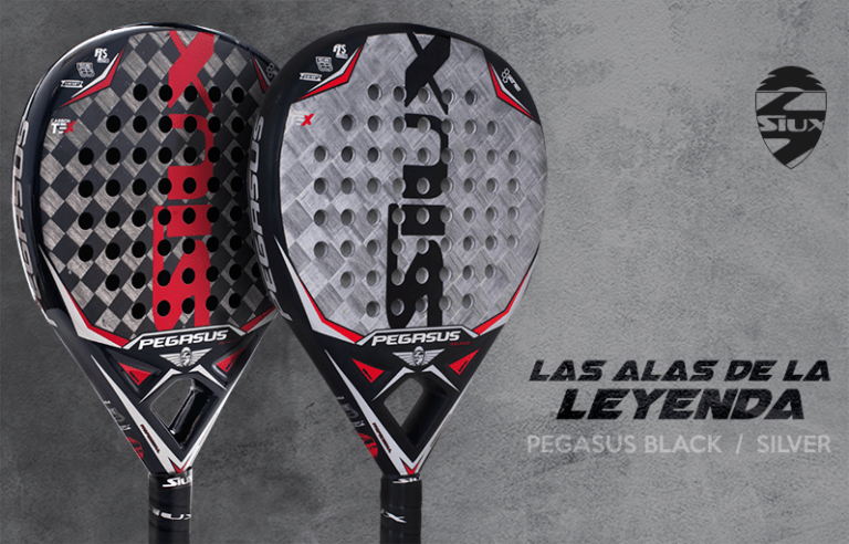 Palas Siux Pegasus Grafeno Black y Silver
