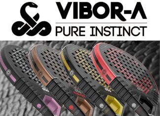 Palas Vibora 2024 【Qué modelo elegir】 palas vibora 2024