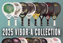 Palas VIBORA 2025 【Análisis y precios】 palas vibora 2025